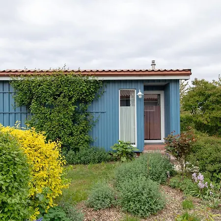 Vakantiehuis Moeve Aba 67 *